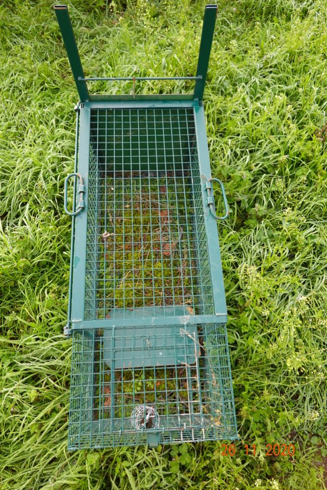 Piège à taupe Topcat pour se débarrasser des rongeurs - Piège à taupes