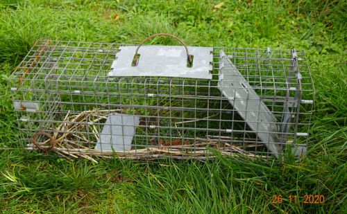 Souricière piège à souris Souricière piège à souris