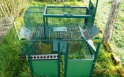 Piège à raton-laveur Piège à raton-laveur