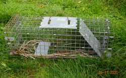 Souricière piège à souris Souricière piège à souris