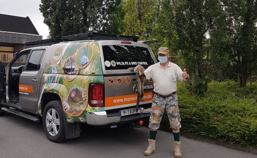 Comment se débarrasser des nuisibles définitivement ? Comment se débarrasser des nuisibles définitivement ?