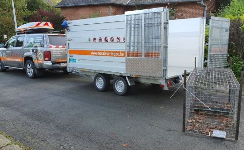 Comment se débarrasser des renards Comment se débarrasser des renards