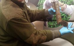 Vente de pièges à taupes