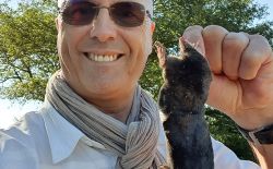 Comment se débarasser des taupes ? Comment se débarasser des taupes ?