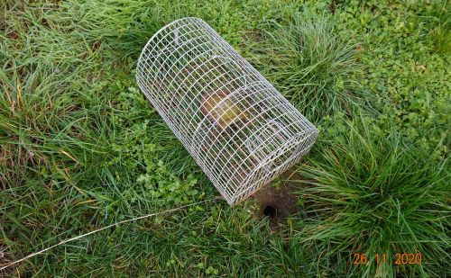 Piège à rats sans poison Piège à rats sans poison